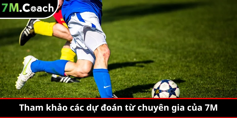 Tham khảo các dự đoán từ chuyên gia của 7M